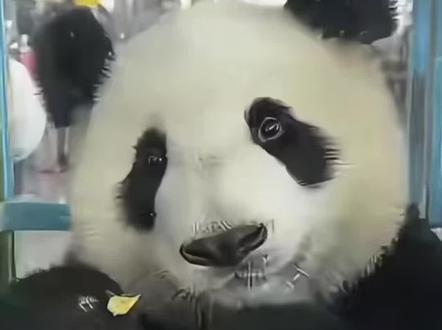 晓晓蕾蕾回家啦!🫠