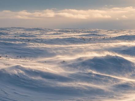 寒潮来袭!哪里降温最剧烈? 局地降温可达14至16℃?!寒潮来袭!快来看哪里降温最剧烈!#寒潮