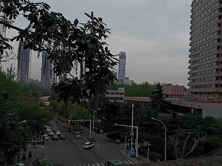 ҈死҈了三年的老婆忽然҈死҈而复生,并且还被发现当年都是有预谋的跑路。
换成谁都会崩溃的吧。
何文方斟酌着语言,尽可能的放平声音:“刘成给了我们一个游戏ID。”
“什么?”叶珩的表情有一瞬迷茫。
看得出来是完全不打游戏的那种人。
何文方将刘成的手机递给叶珩,指了指一个名叫“比҈美҈团҈还能送”的游戏҈I҈D҈。
“刘成说他之前与夫人打过双排,当时夫人用的就是这个名字。查到了是在海城办理的账号,用了四年。”
他深吸一口气,说出了最艰难的一句话。
“这个҈I҈D҈在昨天,上了星耀。”
总裁办的空气安静的几乎到了可怕的程度。
叶珩的视线落在这位“比美҈团҈还能送的҈I҈D҈”上,像一座蜡像一样凝固。
他过了很久才开口,声音冰冷的像雪。
“什么叫上了星耀。”
何文方小声解释:“换句话来说,就是夫人离开、呃,在国外休养的这些年,也没忘记打游戏。”
巧舌如簧的他难得结巴,硬着头皮开口:“经过坚持不懈的努力,在昨天的时候打上了星耀这个等级。这款游戏的等级最高是王者。”
“我们查过这个I҈D҈最近一次登录是在云京。我想夫人应该是回国了。”何文方说完就低下头,大气不敢出一声,也不敢抬头看叶珩。
大概过了五分钟,总裁办里才有了声音。
叶珩的语气听不出是什么感情,问了一句:“去查现在的地址。”
何文方终于松了口气,额头上划过一滴冷汗:“已经查到了。最后一次上网地址在金融大厦附近。我们已经派人在大厦门口盯着,如果找到夫人,会第一时间报告。”
叶珩沉默着,不知道在想什么。
何文方将所有的资料都放在叶珩的办公桌上。
刚放下,何文方的手机就嗡嗡震动了一声。
何文方一看来电显示是派出去在金融大厦蹲点的保镖,立刻请示叶珩:“叶总,已经找到夫人了。”
叶珩的手明显绷紧了,连气息都有些不稳:“说。”
“夫人与同事去——”
何文方忽然卡住。
叶珩抬眼,冷的像一块冰渣:“继续说。”
何文方忽然间后背全都被冷汗浸湿,是不想说也箭在弦上,不得不说,不得不说,他极为艰难地开口:“去看男明星的演唱会。”
……
比老婆费尽心思҈假҈死҈跑路三年更可怕的是什么?
是老婆回来之后第一时间花钱去看别的男人。