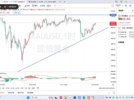 2月14号下周黄金上涨会延续吗?#黄金 #金价 #今日金价 #黄金首饰 #黄金按克卖