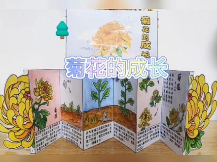 原创小绘本-菊花的成长
今天通过简单的涂色过程给大家介绍一下菊花的成长🤔️🤔️🤔️
原创涂色小绘本,边涂边做涨知识#绘本 #幼儿园手工 #手工diy #菊花 #涂色