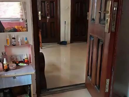 我的刀盾大军~#我的刀盾 #刀盾狗