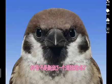 #消除笔#抖音的新玩法 我真不行了,这消除笔。。。。。。。。。。。。。。。。。。。。。。。。。。。。。。。。。。。。。