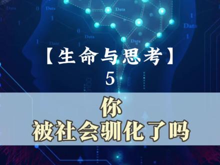 无形的规矩正在身边驯化着我们