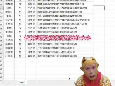 Excel字体大小跟随单元格变化#excel #办公技巧 #干货分享 #wps #office办公技巧