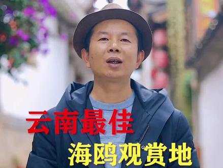 来云南看海鸥,一年一次等着你!#云南美好推荐官 #2020秋游季 #畅游丽江