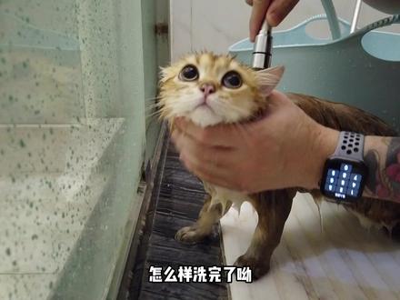 一咋眼4个月过去啦❤️#抖音动物图鉴