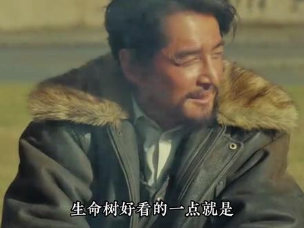 在文化之下,人性的美与善是相通的pyh #生命树 #杨紫 #胡歌 #藏族 #文化