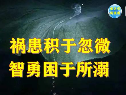 2分钟速读古文观止 祸患积于忽微 智勇困于所溺 #古文观止 #经典金句 #历史传承 #欧阳修 #李存勖
