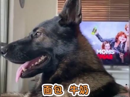 玲珑骰子安红豆原诗作者 ba2bd098525eb0895a2019d2a5a8d425~tplv-dy-resize-origshort-autoq-75:330.jpeg?x-expires=1998889200&x-signature=qSEXosHKQwuV1%2FfwxJs56efzpgI%3D&from=3213915784&s=PackSourceEnum_AWEME_DETAIL&se=false&sc=cover&biz_tag=pcweb_cover&l=021683529614610fdbddc03000201685e42112f4000000e153063