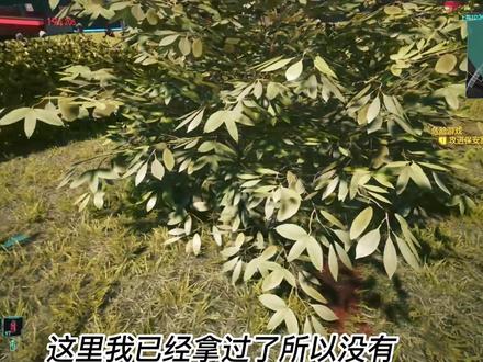 瑞贝卡和David两个彩蛋保姆级路线教程#赛博朋克2077 剪完这期教程后,下期给大家带来一期《完美结局》的漫剪,让我们拭目以待#赛博朋克边缘跑手