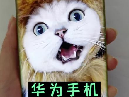 #华为手机 放大功能,刷抖音更有意思了~#手机 #玩机技巧 #华为