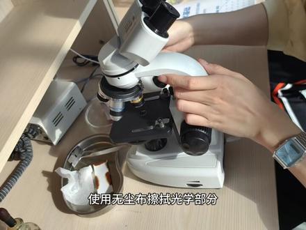 生物技术等级证书:考证实操(一)临时制片与显微镜操作