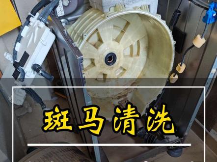 这期教你如何拆洗滚筒洗衣机#滚筒洗衣机 #滚筒洗衣机清洗 #玉林 #家政