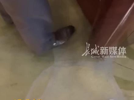 3月1日#上海 男子称在五星级酒店被区别对待,只能外国人穿拖鞋进餐厅用餐,酒店:禁止穿酒店的拖鞋,允许穿自己买的拖鞋。