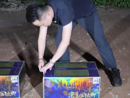 魔音金钛柳是怎么回事?#观澜烟花 @观澜烟花