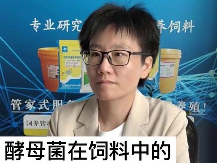 酵母菌在饲料中的作用的使用#酵母菌 #酵母 #牛羊饲料
