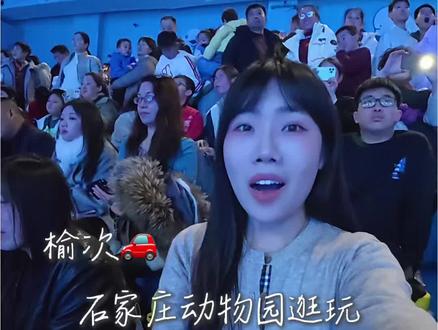 从榆次出发就能到的海洋世界~ #现在出发直达海底隧道#石家庄极地海洋世界 春节来这里周边游是真不错~