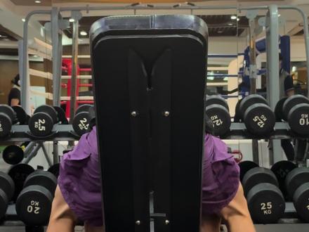 推肩 30KG,是因为健身房只有 30KG #推肩