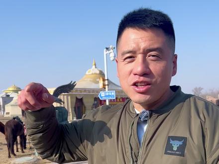 最不推荐养的狗狗,最后一个品种狗狗新手不要养!#新手养狗 #养狗经验分享 #科学养狗 #狗狗