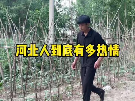 喃越说不去,不去里#塞子哥 #得的多了 #大娘给喃说个媳妇吧 #三农 #河北人到底有多实在