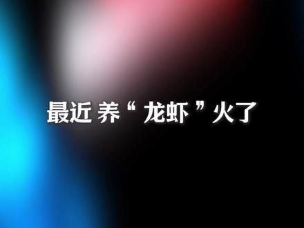 警惕!养 “龙虾” 别把隐私养丢了 (总台央视记者 王莉 李嘉宁)