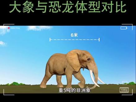 大象与恐龙体型对比 #侏罗纪 #恐龙 #史前巨兽 #动物 #科普一下 #远古生物 #古生物