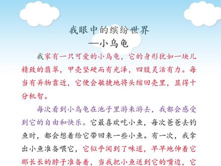 我眼中的缤纷世界《小乌龟》#三年级 #作文素材 #小学作文 #优美句子 #每天学习一点点