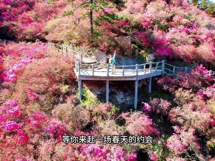 #武汉旅游攻略 #武汉旅游打卡 #武汉旅游打卡 武汉黄陂两日游,这里是休闲赏花的好去处🌸#黄陂 #赏花春游好去处