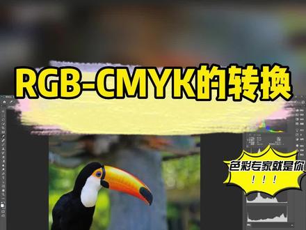 #柯尼卡美能达 #色彩基础为什么屏幕颜色与印品色彩差异很大,是什么原因导致的,RGB与CMYK色域有什么关系,看了这一期就了解了~