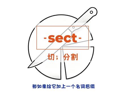 从词根sect记住这些单词 #英语 #词根词缀记忆法 #背单词 #英语学习 #高考 #2026高考 #抖音精选高考应援联盟