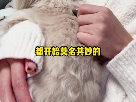 闺蜜,我们这样到处刮来刮去真的能行吗?#逐玉 #田曦薇 #樊长玉 #张凌赫 #谢征