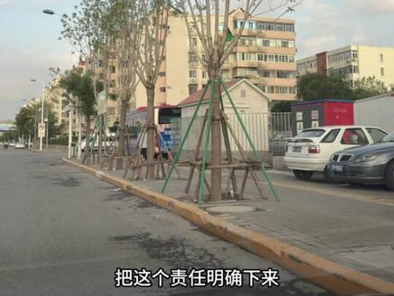 由此引发的思考,值得行业重视#园林景观#保护树木