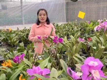 跟随刘晨博士来看看农科所的样貌吧😗