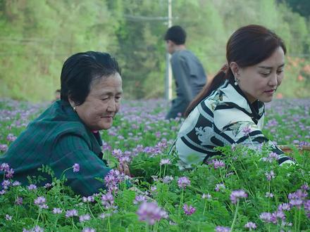 草籽花又名紫云英,你们吃过吗?#跟着抖音学做菜 #春日美食大赏 #春天变美从吃开始