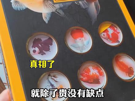 #无穷小亮奇奇怪怪的动物图鉴 #春天开阅季 #抖音全民好书计划 看完只想去拥抱他的书柜,以及记住了除了贵没有任何缺点这句话 #无穷小亮 #读书之美