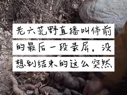 12月11日|张家界七星山.骆驼杯被叫停,没想到结束的这么突然,最终实现了归途的心愿,以熬垮节目组剩下的全部是冠军收场.有人说是烂尾了,这何尝又不是一个最完美的结局呢!