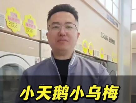 小乌梅5.0平替款,省的不止一点! 参数接近功能相同,价格差不少,选对不花冤枉钱#抚顺家电 #小乌梅5.0 #抚顺装修