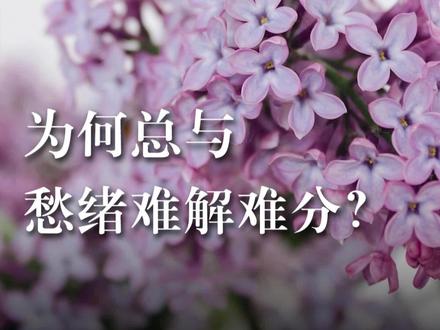 丁香花,不管在哪里,好像都与千愁万绪做了深度绑定,你知道这是为什么吗?
#植物 #植物科普 #草木 #知识 #科学看世界
@抖音小助手 @抖音热点 @抖音创作者中心 @抖音知识 @抖音