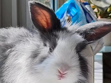 Day7|公主切
#绘画 #手绘 #绘画教程 #头发画法