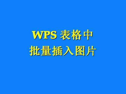 WPS 表格中批量插图 #创作灵感 #excel #办公技巧 #wps