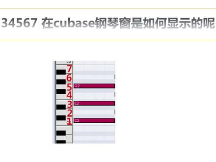乐理入门教程——音乐中所使用的音