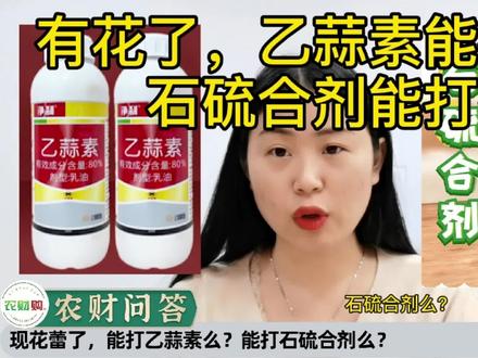 【农财问答】有花蕾了,能打乙蒜素/石硫合剂么?会烧芽不?#农业种植 #柑橘种植 #花生麸 #乙蒜素 #石硫合剂
