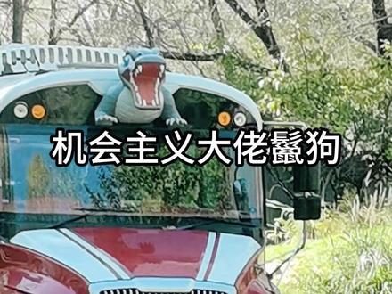 机会主义大佬鬣狗 #鬣狗