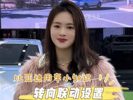 转向联动设置 #比亚迪 #用车小知识