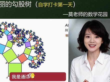 美丽的勾股树#自学 #勾股定理 #几何画板 #动点#迭代