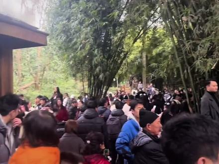 ⚠️熊猫基地🐼➕都江堰一日游💯攻略 8:00: 早上大家早一点去看熊猫🐼,会活跃一些,春节期间人流量大,建议大家从西门进,坐地铁🚇到军区总医院B出站口,门口会有摆渡车🚗。
12:00: 看熊猫大约2-4小时,看完可以在附近吃个午饭🥣。
13:30: 坐景区直通车🚌或者打车🚗到都江堰景区,景区直通车往返5️⃣8️⃣/人,打车一百多,时间一个多小时。
15:30: 开始参观都江堰🌊,人多的时候从大门进,淡季从秦堰楼开始参观,大约两个小时。
18:00: 仰天窝广场,打卡全世界最大的熊猫模型。
18:30: 南桥和廊桥观看蓝眼泪夜景🌃。
19:38: 从离堆公园坐动车🚄到犀浦。
#都江堰导游小吴 #都江堰 #熊猫基地