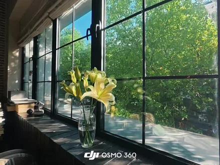大疆也可以拍出富士感|Osmo360参数分享✅
🎨【富士感参数配方】
1️⃣开机选「单镜头模式」→ 上滑设置「4K 50fps」
2️⃣参数:
曝光:Auto+0.3EV
ISO: 100~6400
白平衡:AWB
色彩:普通 10bit
拖影改善:关
图像调节:纹理-1;去噪0
3️⃣导出前打开 DJI Mimo
叠加「芳华滤镜」强度50~80%
其他可以根据画面再微调,富士感就来啦~
📸【Osmo 360】
✔️ 双 1/1.1 英寸方形传感器:13.5档动态范围,日出日落大光比场景也能明暗清晰
✔️ 原生 8K 全景视频
✔️ AI 自动消除自拍杆,秒变第三人称跟拍视角~
✔️ 机身183g,带出门也很轻便~
#大疆Osmo360 #全景相机 #富士感参数 #运动相机 #全景相机玩法