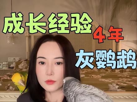 非洲灰鹦鹉越养越好玩~就是需要多点耐心等待花开! 我家小猪现在的状态令我超级满意和欣慰,这种感觉不知道有没有人可以理解~~!#鹦鹉日常 #非洲灰鹦鹉 #我家萌宠成精了 #鹦鹉鹦鹉萌萌哒逗鹦鹉 #鹦鹉知识