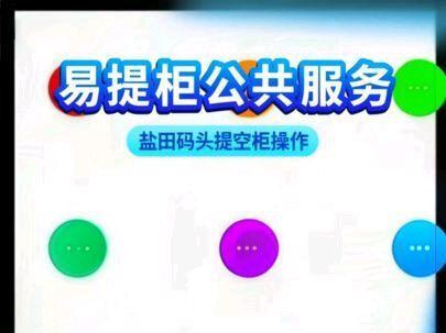 盐田码头提空柜操作流程,讲解不到位的地方望大家多多包涵,切勿喷我😁#货车司机 #集装箱海运 #物流运输
